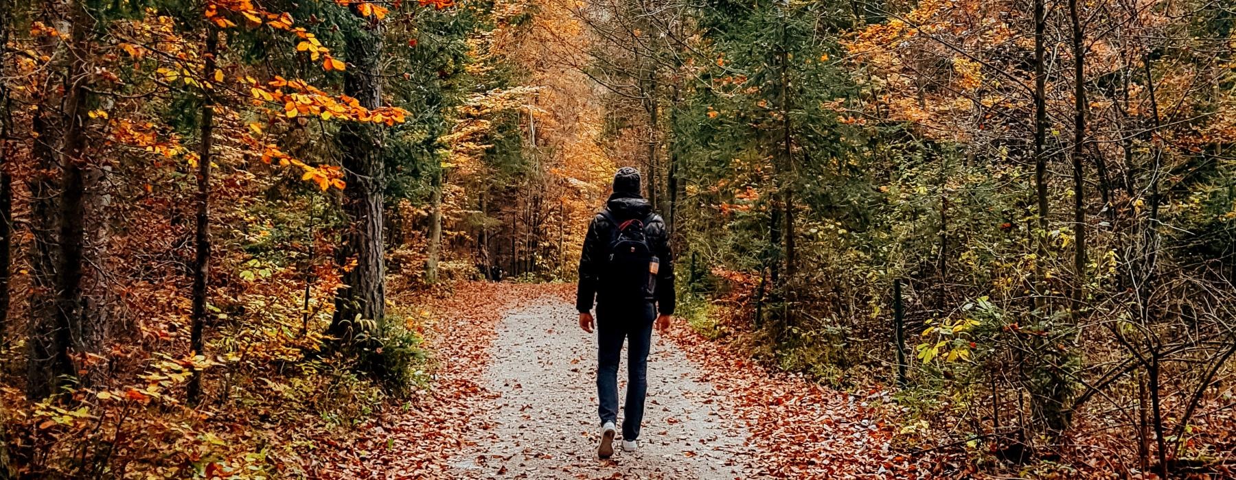 man walking on a path in a forest